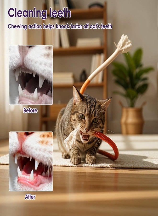 YBEATY مجموعة ألعاب مضغ للقطط من YBEATY، 6 قطع، ألعاب تفاعلية للقطط، ألعاب حبلية للقطط، ألعاب مقاومة للعض، حبال مضغ للقطط الصغيرة، مستلزمات حيوانات أليفة لجميع السلالات، تنظيف أسنان القطط وتخفيف التوتر - Image 4